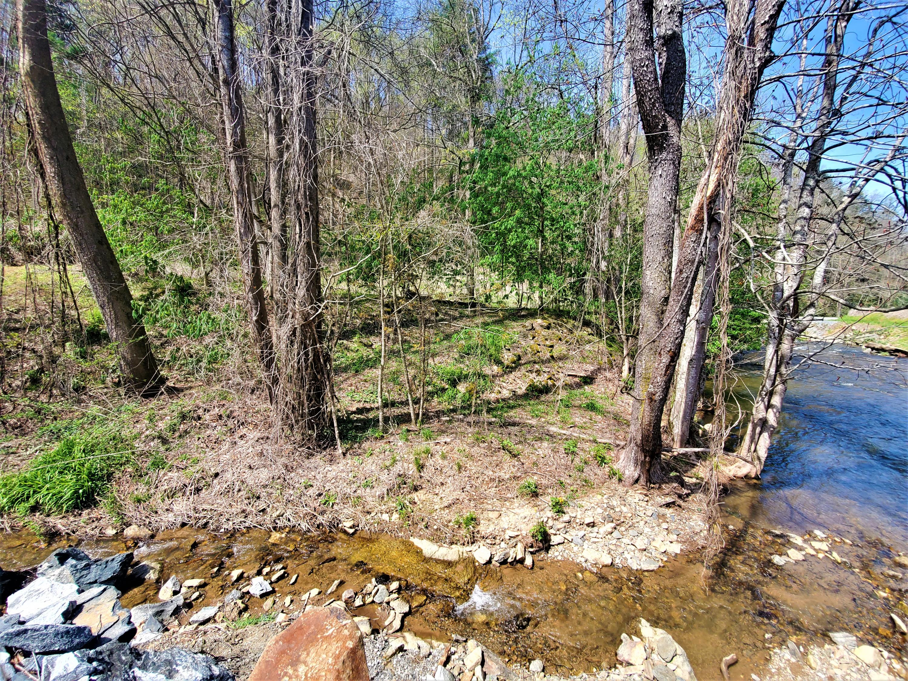 Tbd Big Laurel Road Marshall, NC 28753 - Photo 19 of 37 20210416_120434