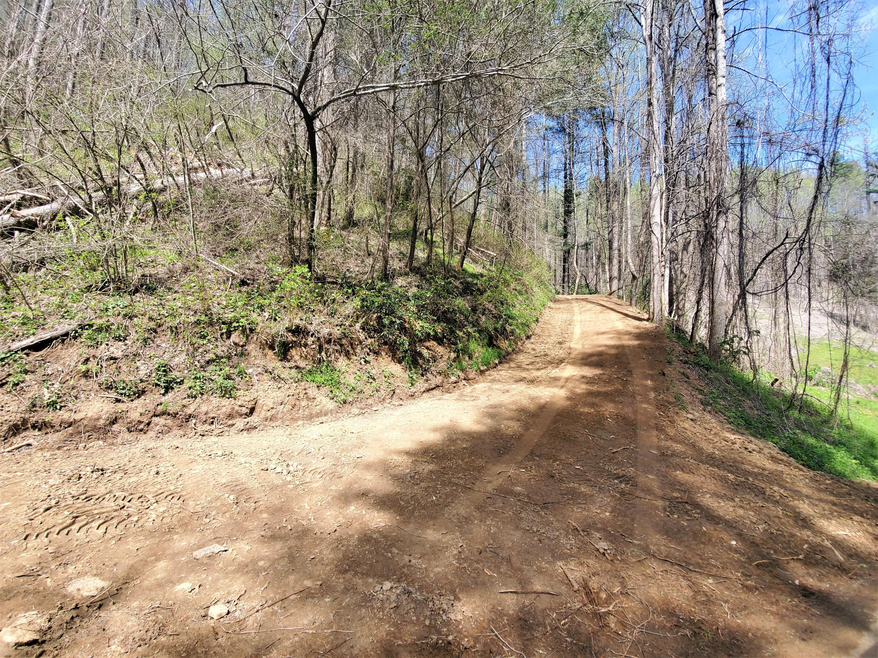 Tbd Big Laurel Road Marshall, NC 28753 - Photo 20 of 37 20210416_120644