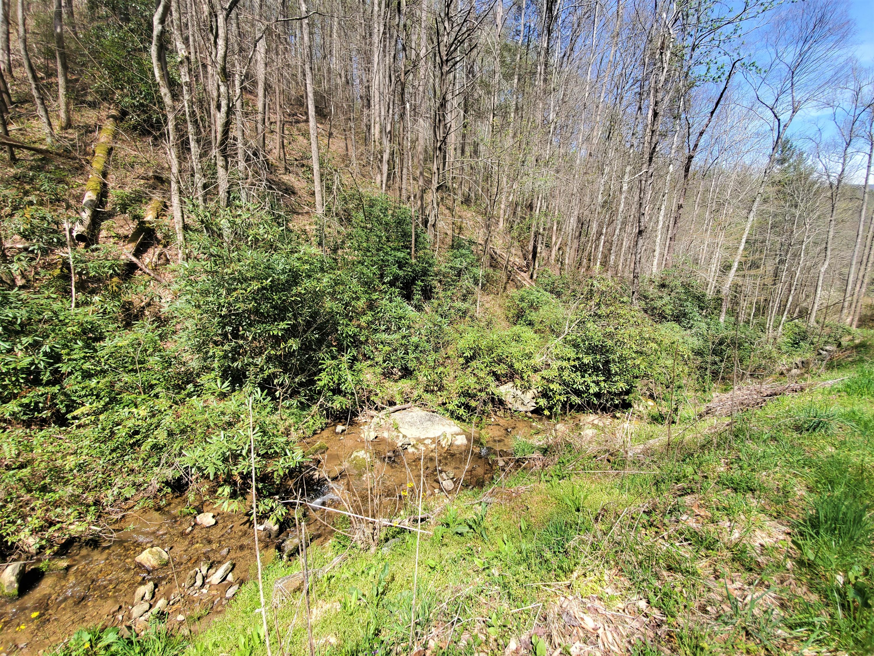 Tbd Big Laurel Road Marshall, NC 28753 - Photo 21 of 37 20210416_121023