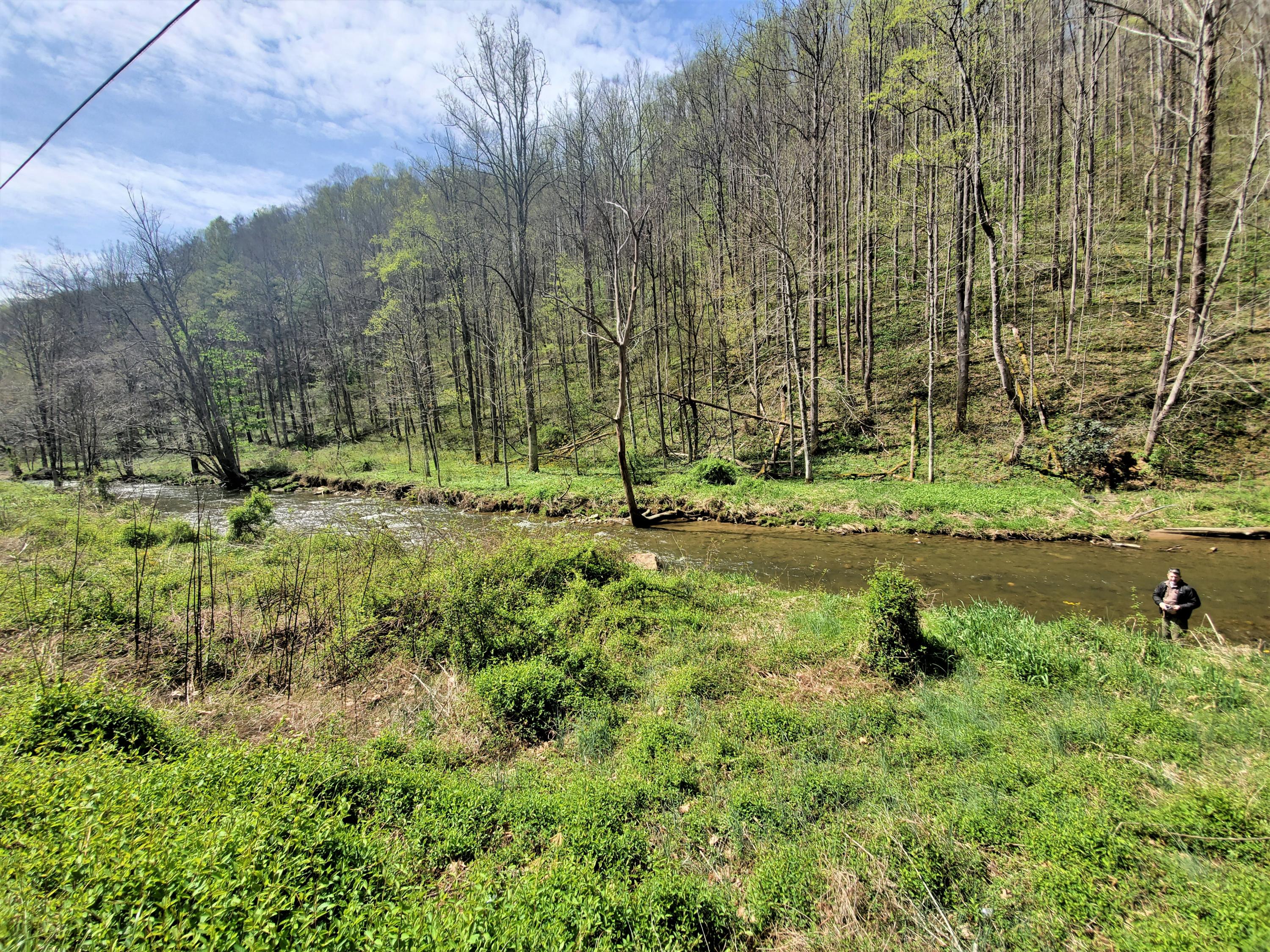 Tbd Big Laurel Road Marshall, NC 28753 - Photo 24 of 37 20210416_115323