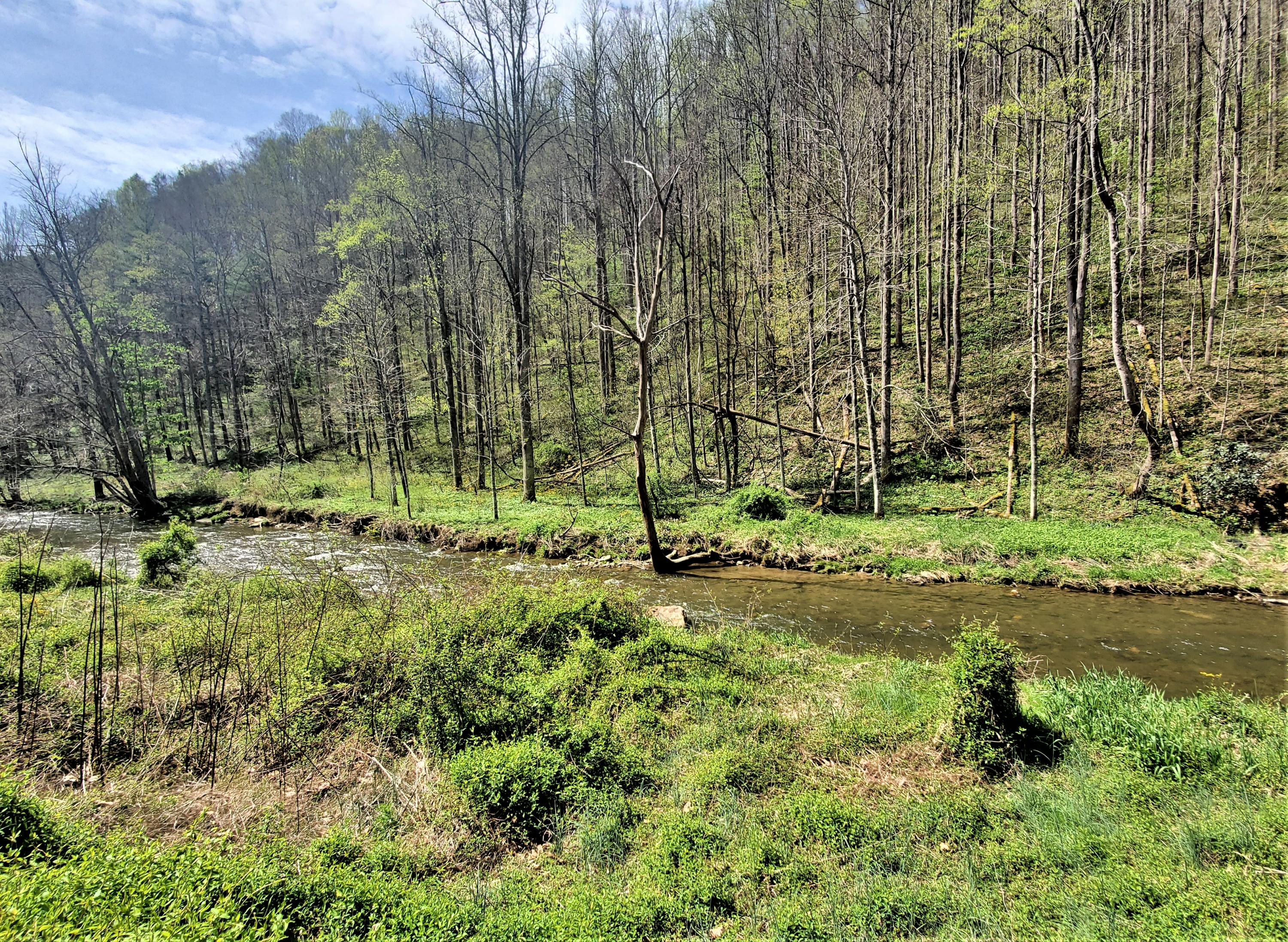 Tbd Big Laurel Road Marshall, NC 28753 - Photo 25 of 37 20210416_115330