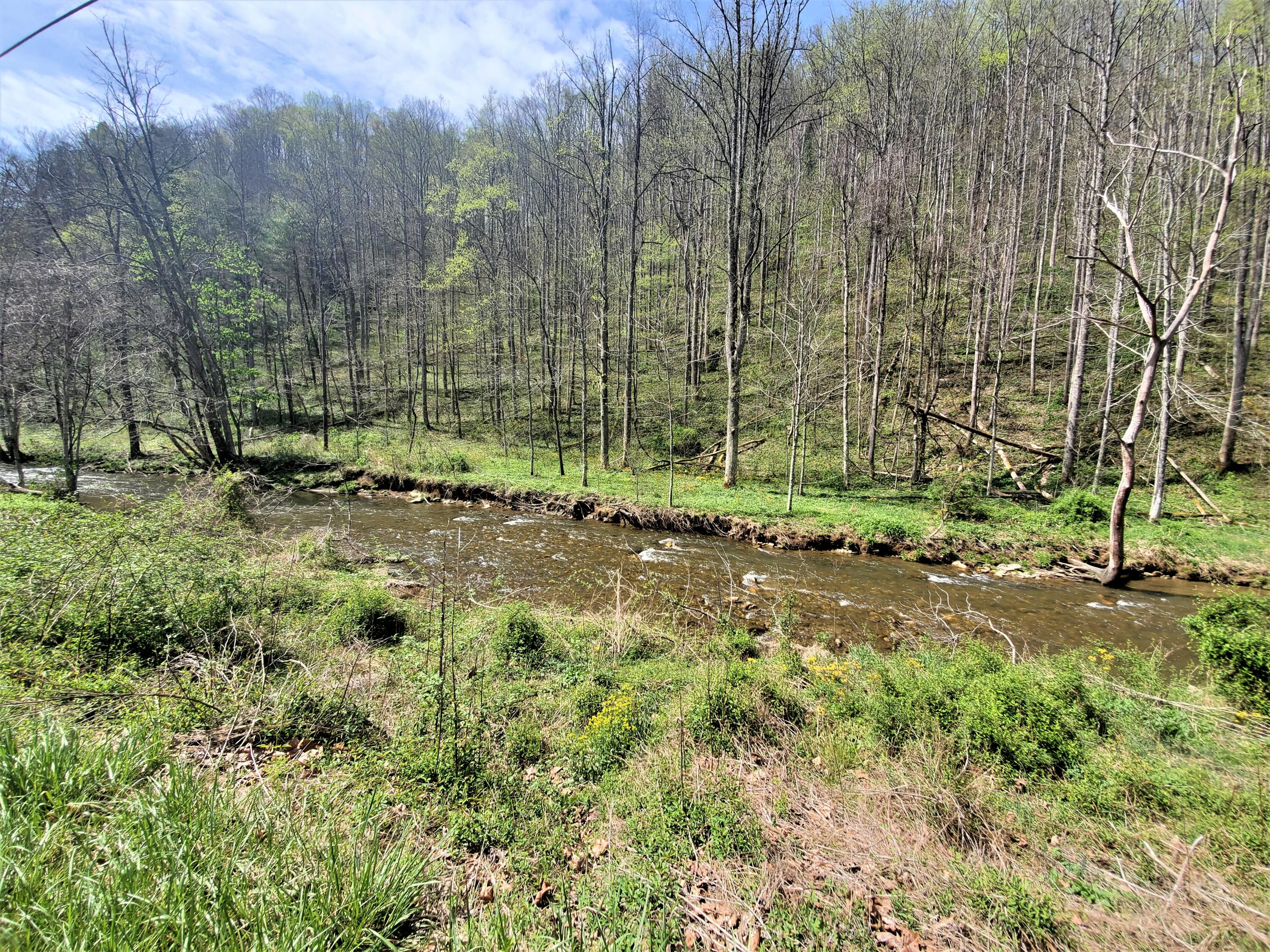 Tbd Big Laurel Road Marshall, NC 28753 - Photo 29 of 37 20210416_115535