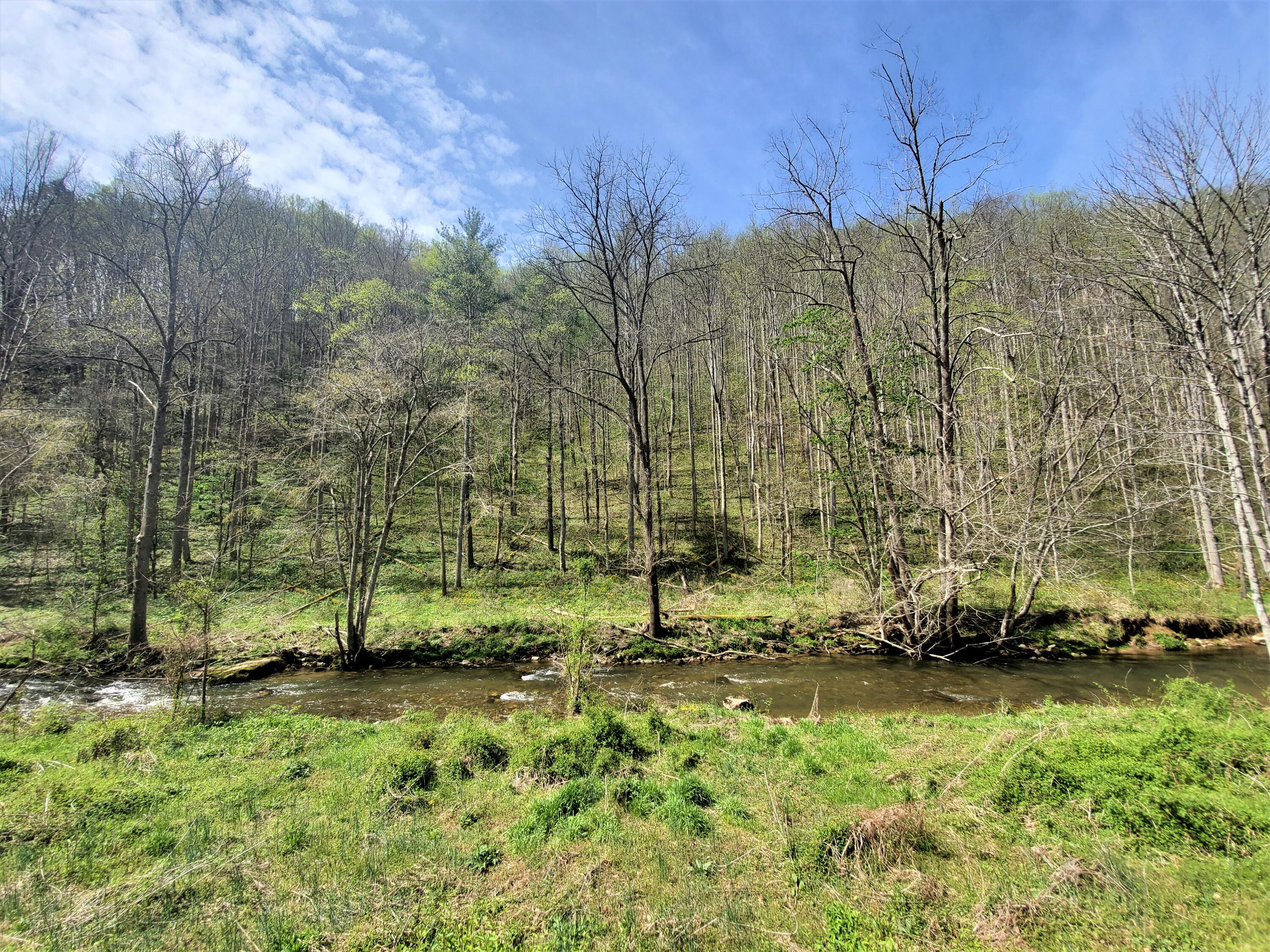 Tbd Big Laurel Road Marshall, NC 28753 - Photo 33 of 37 20210416_115630