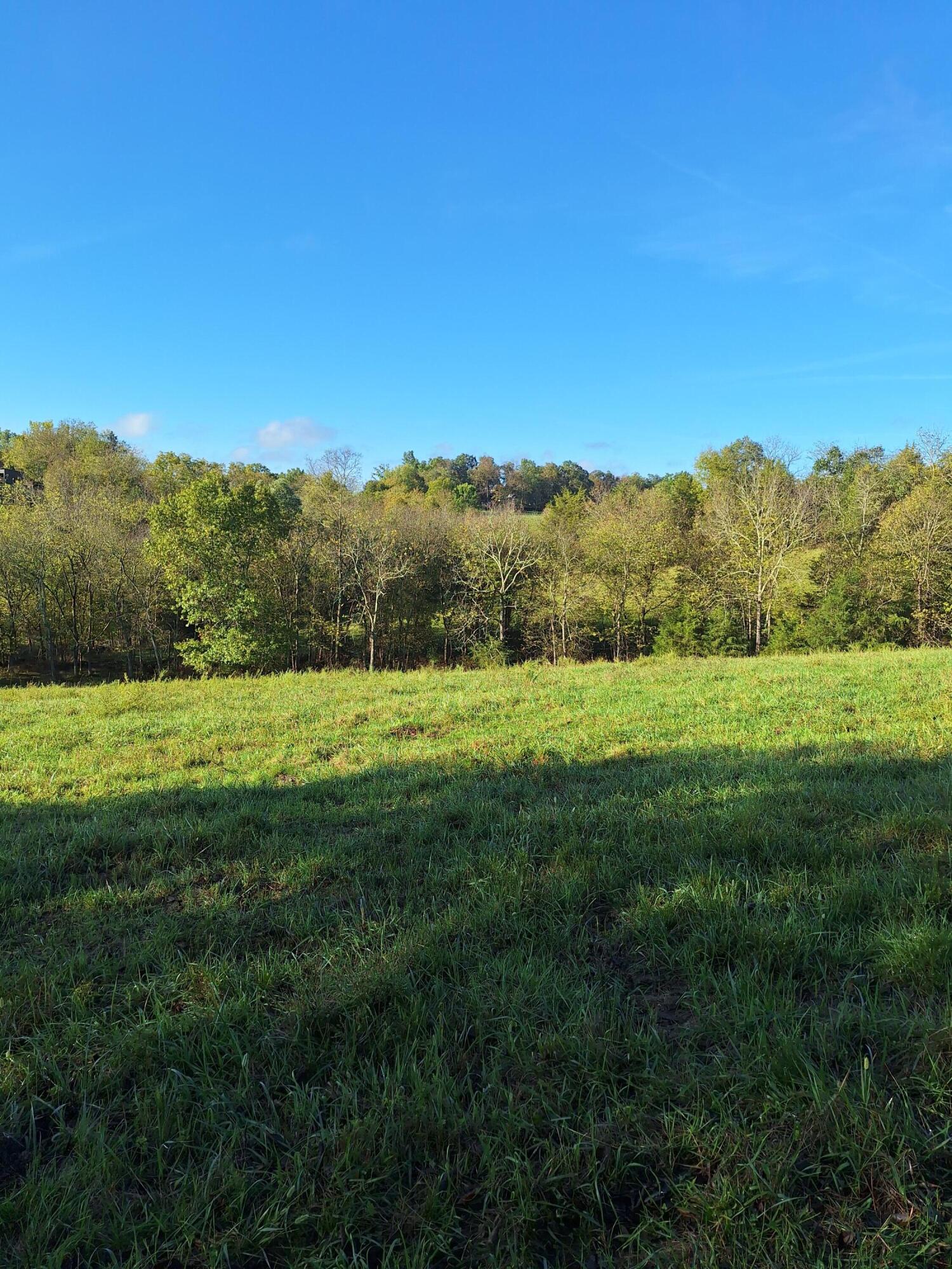 0 Casey Mill Road Berry, KY 41003 - Photo 13 of 28 Gallery Image 13