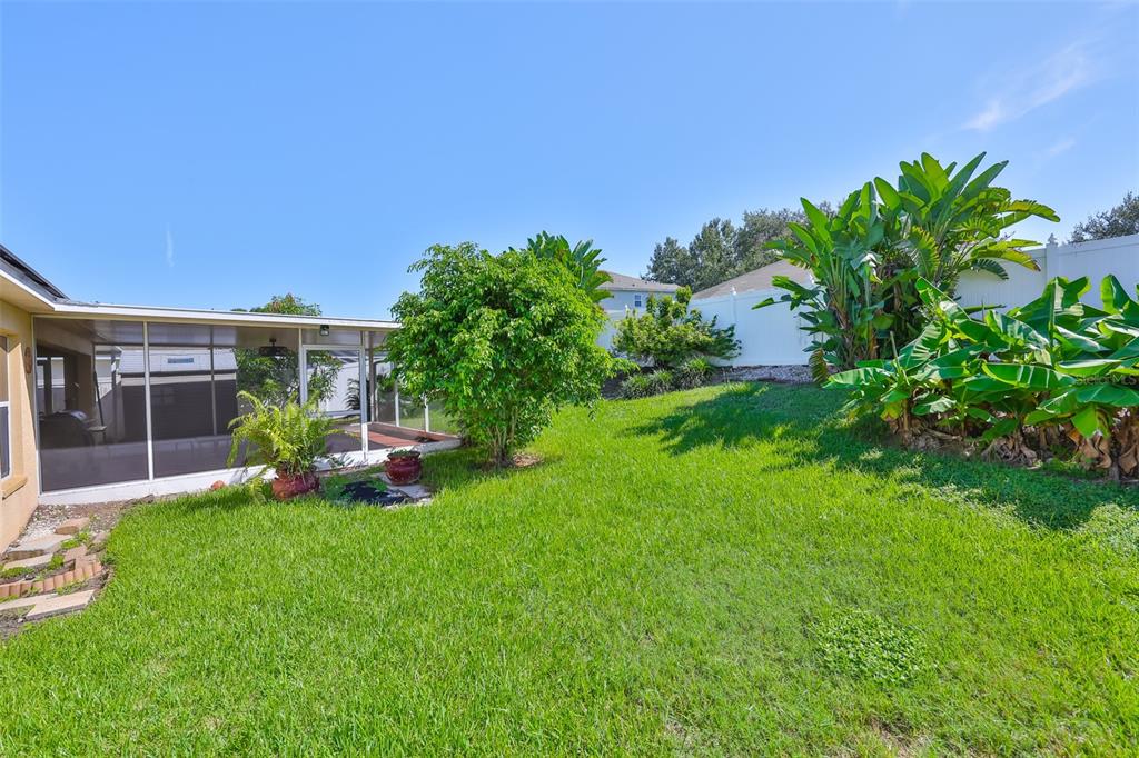 2613 Thames River Place Valrico, FL 33596 - Photo 32 of 41 a view of a house with a backyard porch and sitting area