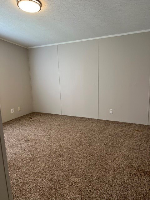 16469 Spring Rain Court Conroe, TX 77302 - Photo 14 of 18 Bedroom 2