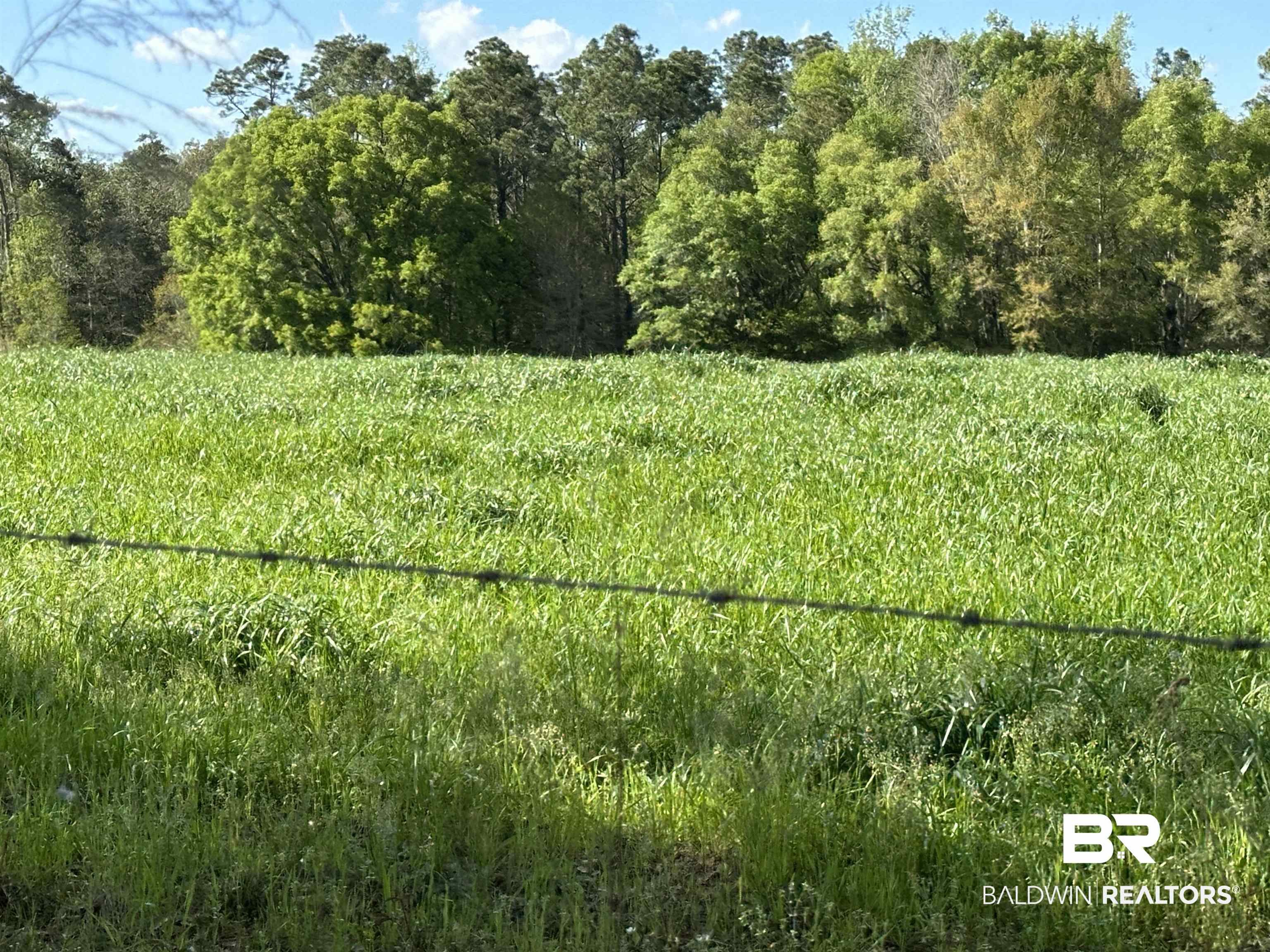 20430 Baldwin Beach Expressway Summerdale, AL 36580 - Photo 3 of 42