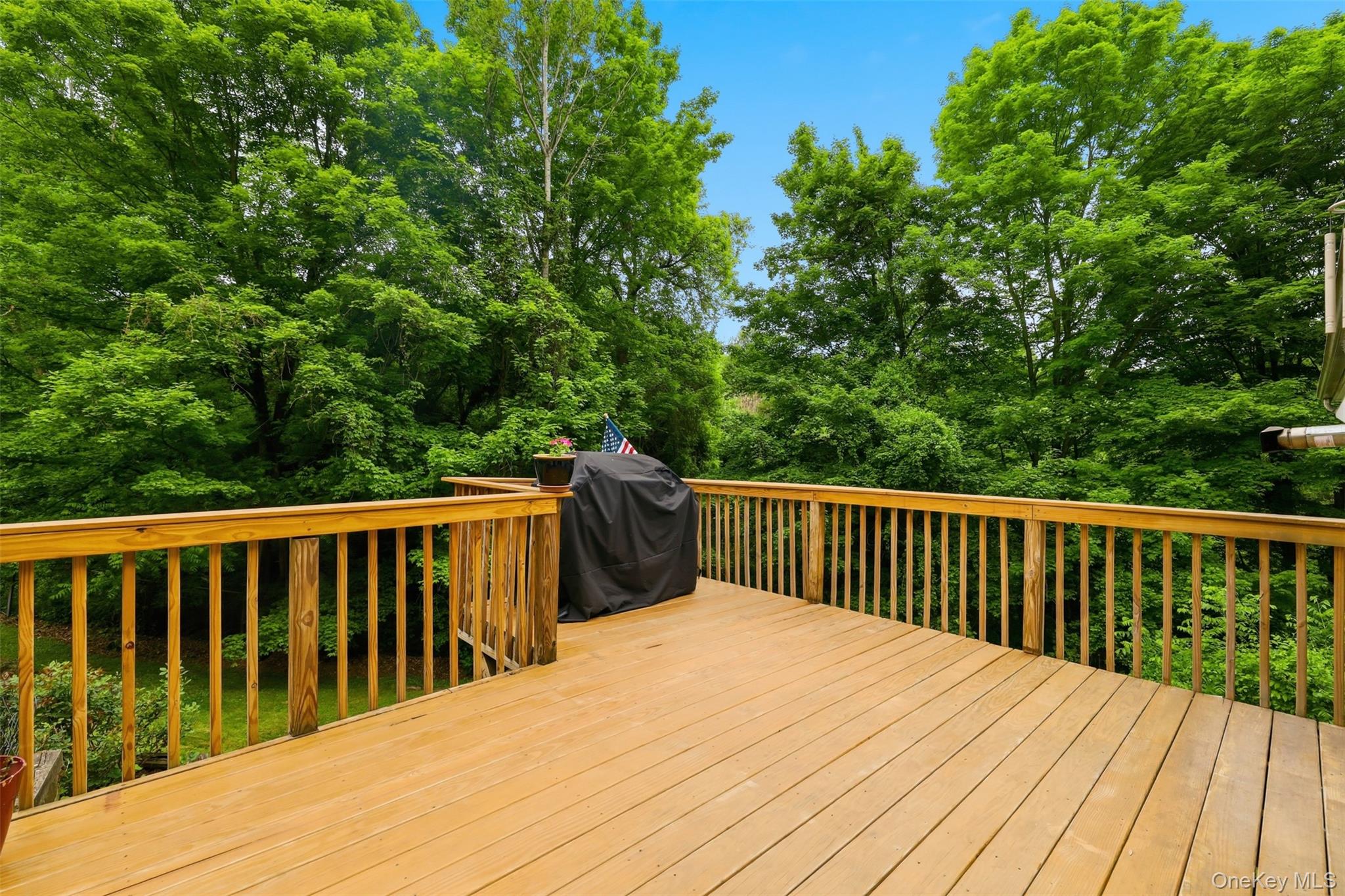 236 Hosner Mountain Road Hopewell Junction, NY 12533 - Photo 44 of 46