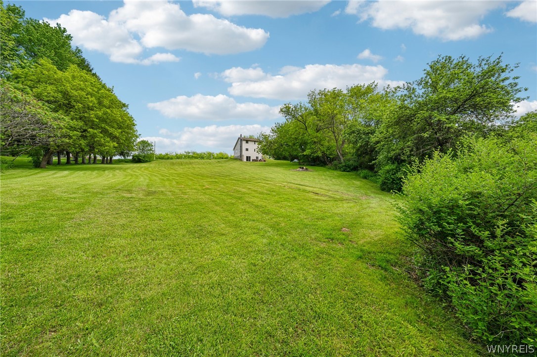 5290 Curriers Road Java, NY 14009 - Photo 20 of 26