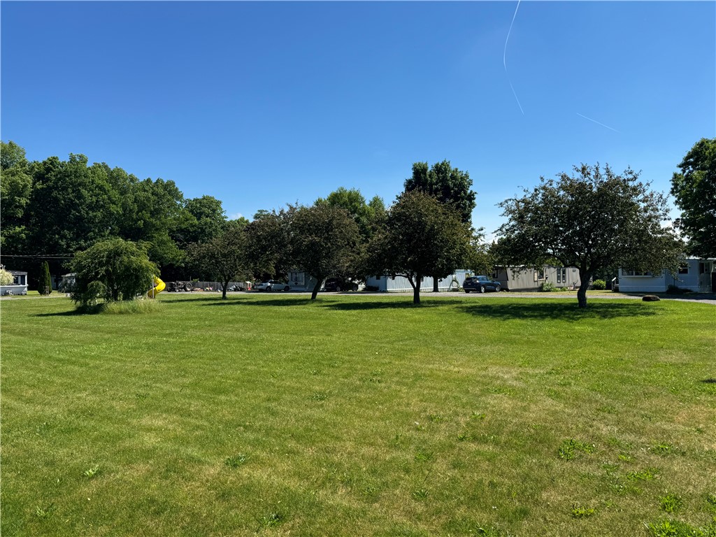 1403 Ridley Road Phelps, NY 14532 - Photo 3 of 16