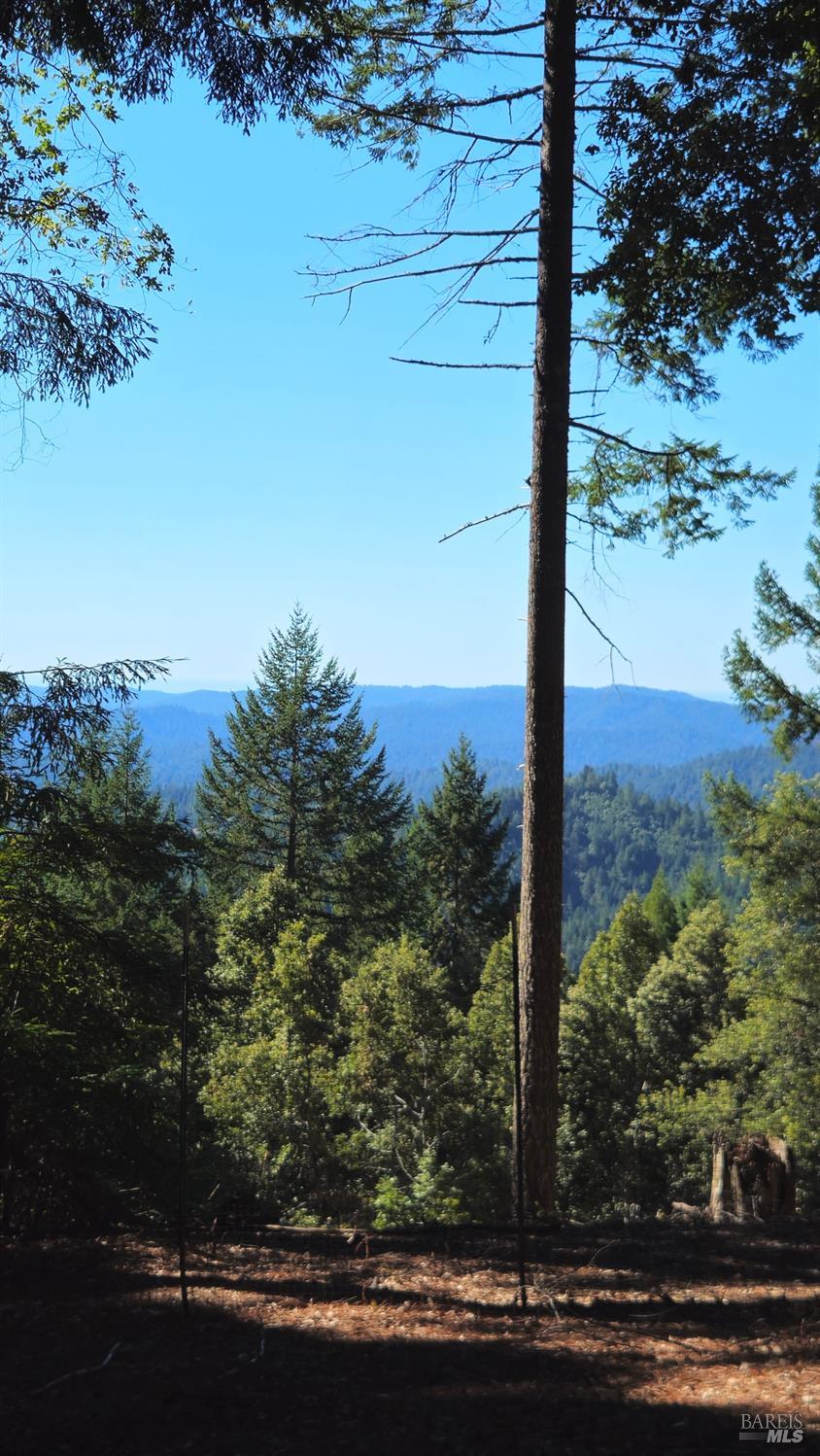 4020 Ridge Circle Willits, CA 95490 - Photo 28 of 30