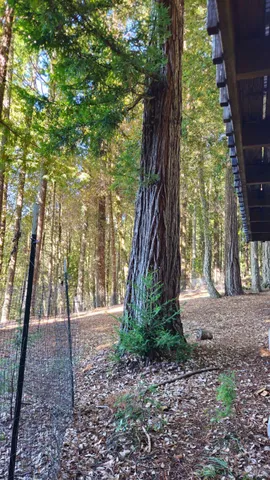 $356,000 | 4020 Ridge Circle, Willits, CA 95490