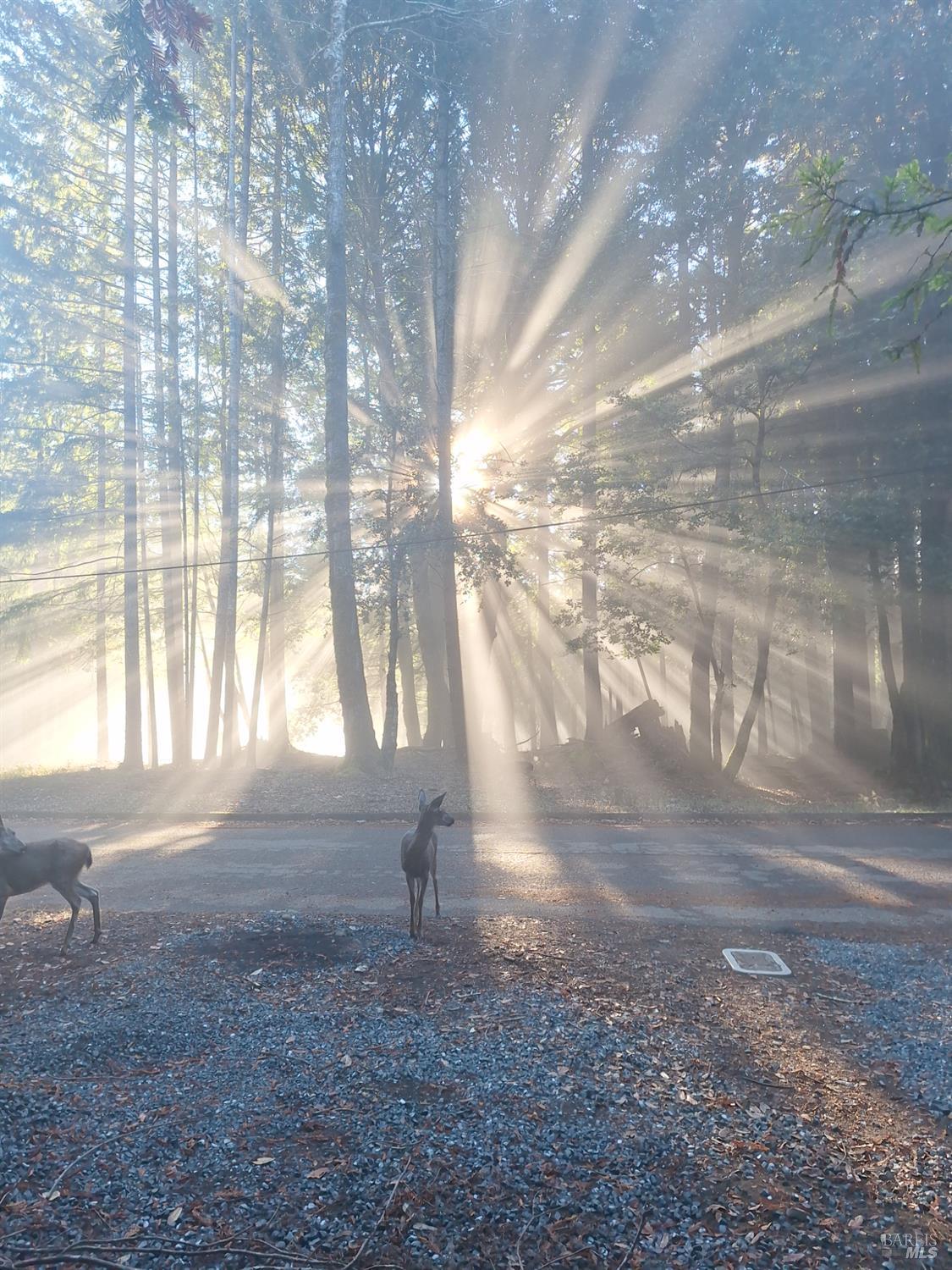 4020 Ridge Circle Willits, CA 95490 - Photo 5 of 30