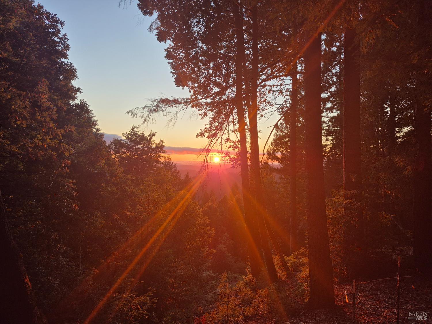 4020 Ridge Circle Willits, CA 95490 - Photo 5 of 30