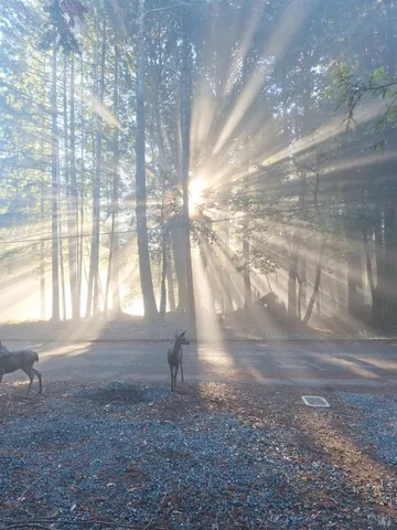 $356,000 | 4020 Ridge Circle, Willits, CA 95490