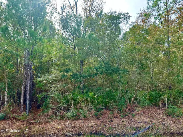 $7,500 | 0 Beach Street, Ocean Springs, MS 39564