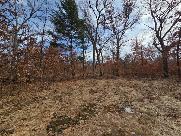 $44,500 | 2660 West Meade Street, Baldwin, MI 49304