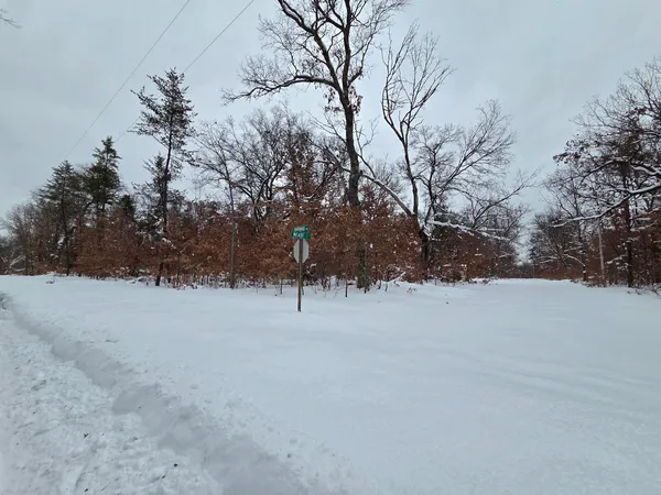 $44,500 | 2660 West Meade Street, Baldwin, MI 49304