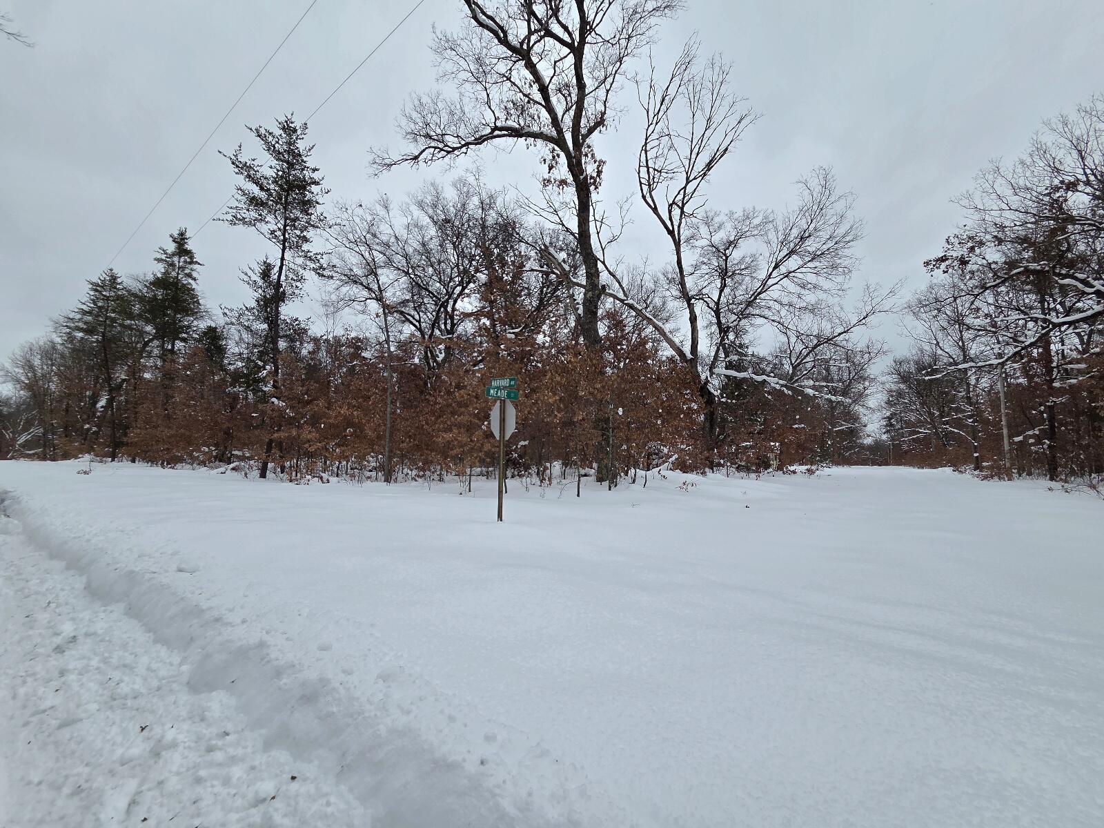 2660 West Meade Street Baldwin, MI 49304 - Photo 2 of 7 2660 W. Mead - 2