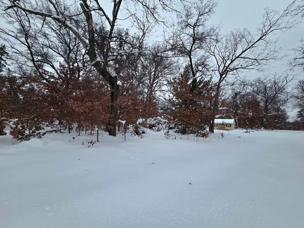 $44,500 | 2660 West Meade Street, Baldwin, MI 49304