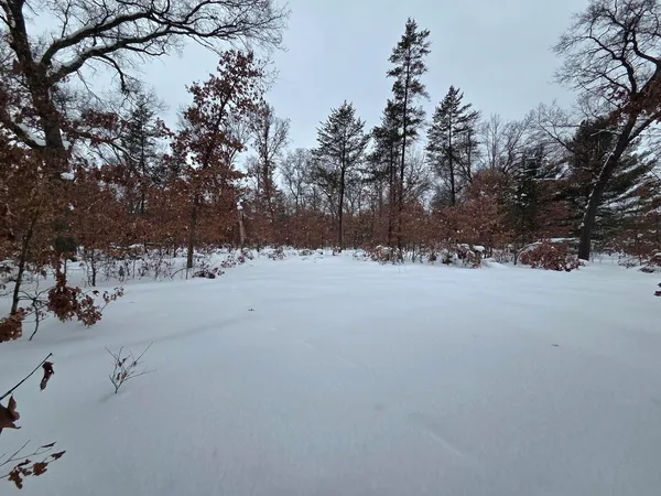 $44,500 | 2660 West Meade Street, Baldwin, MI 49304