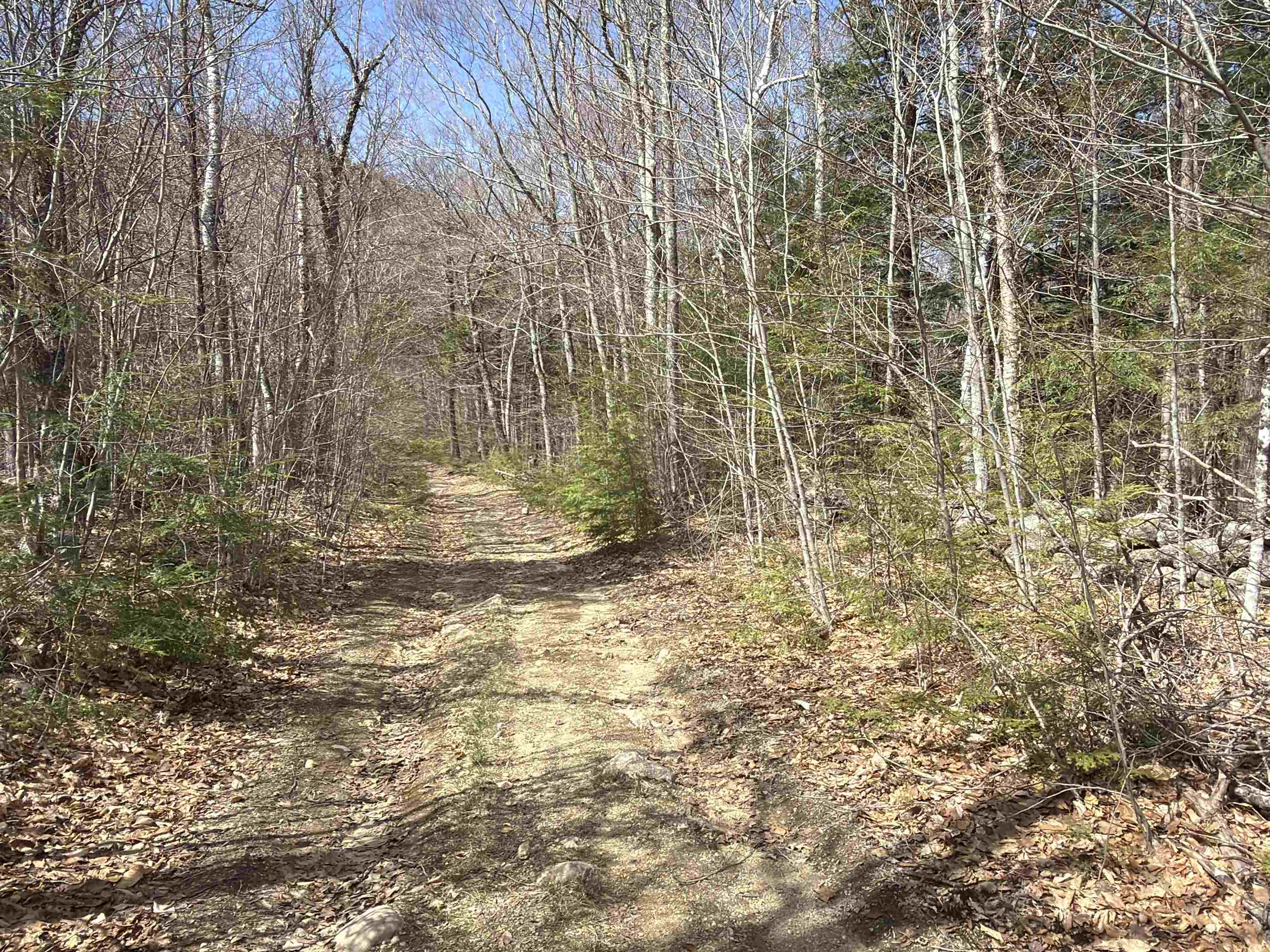 R29-l9 Roxbury Road, Unit LOT 9 Meredith, NH 03253 - Photo 13 of 36