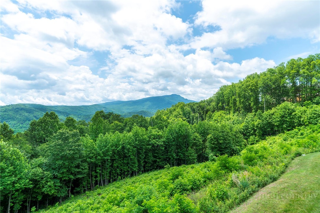 155 Falcon Trace, Unit C321 Boone, NC 28607 - Photo 16 of 43