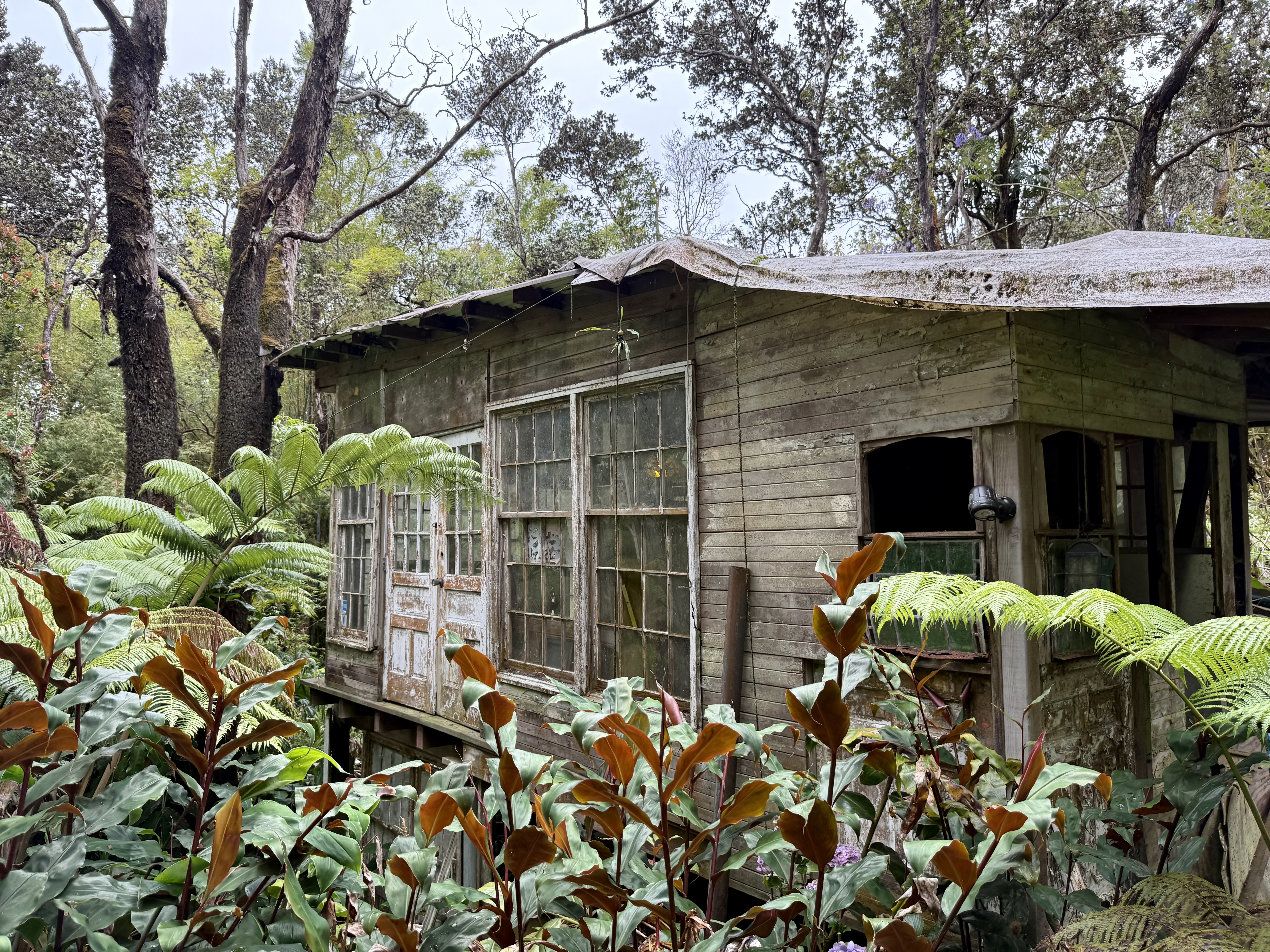 11-3885 6th Street Volcano, HI 96778 - Photo 15 of 23 a front view of a house with a yard