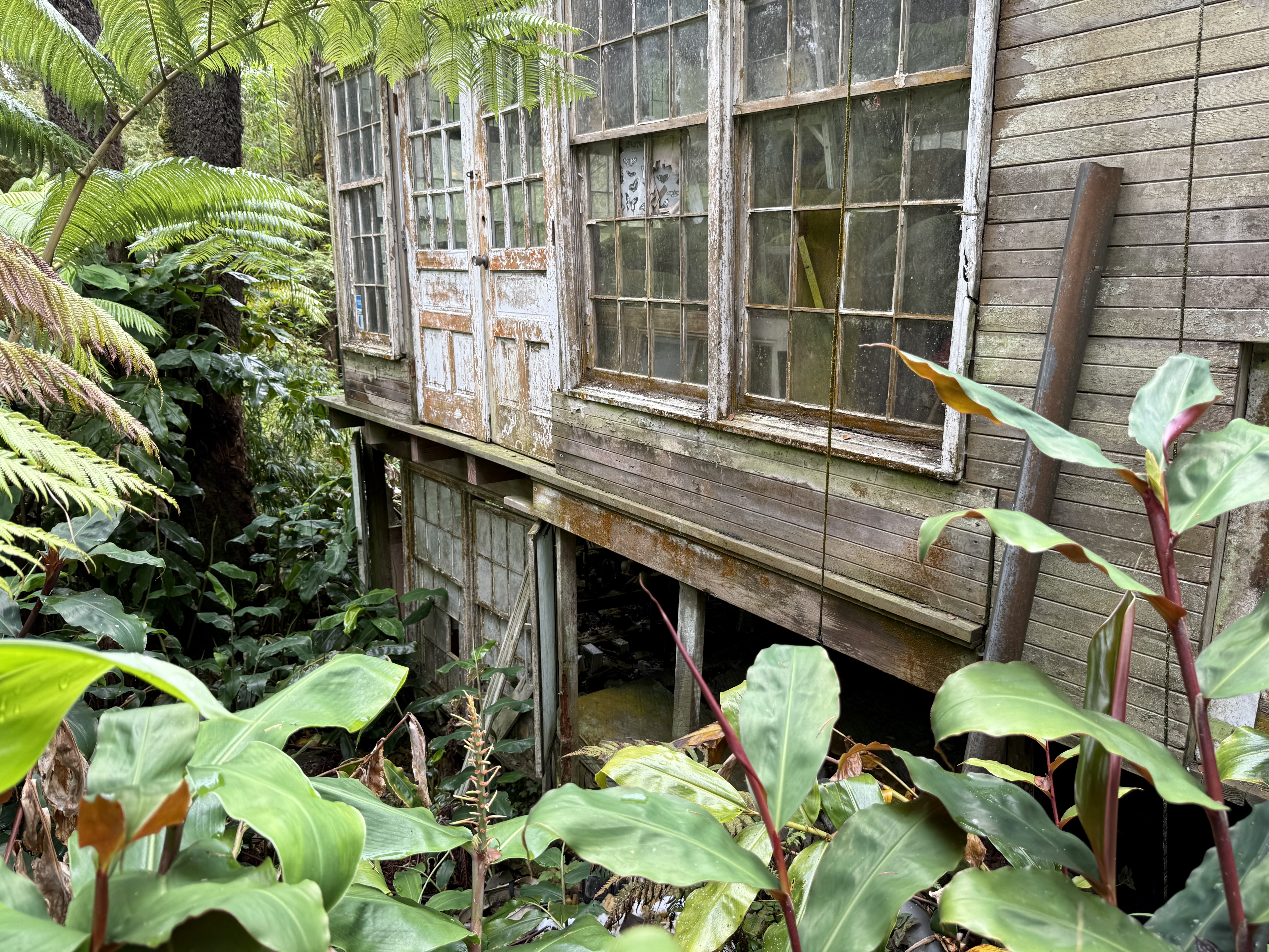 11-3885 6th Street Volcano, HI 96778 - Photo 16 of 23 a backyard of a house with lots of green space