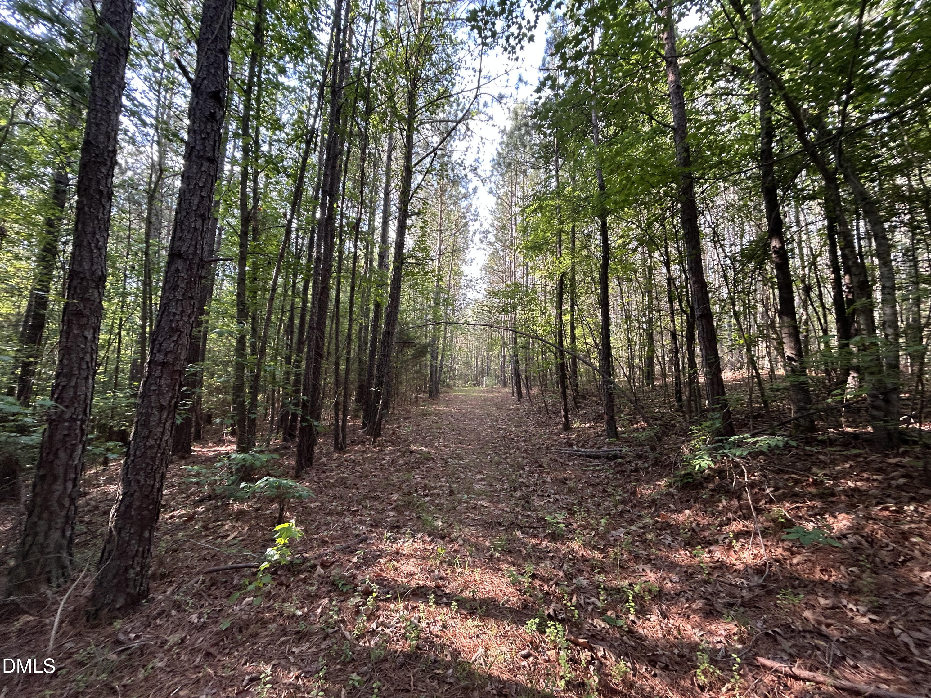 0 Beaver Dam Road Creedmoor, NC 27522 - Photo 11 of 13 IMG_7639