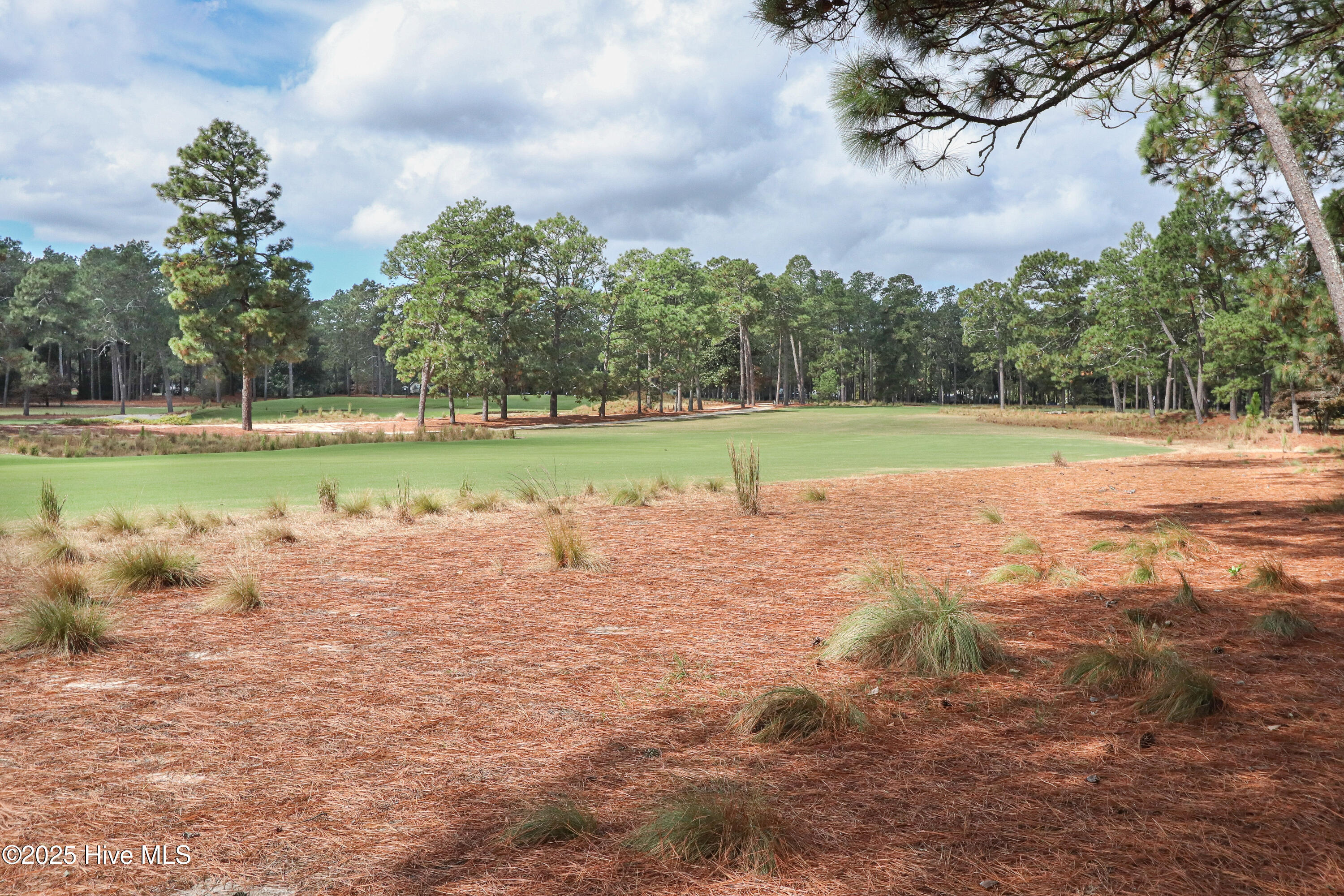 310 Inverrary Road Pinehurst, NC 28374 - Photo 4 of 54 IMG_0267