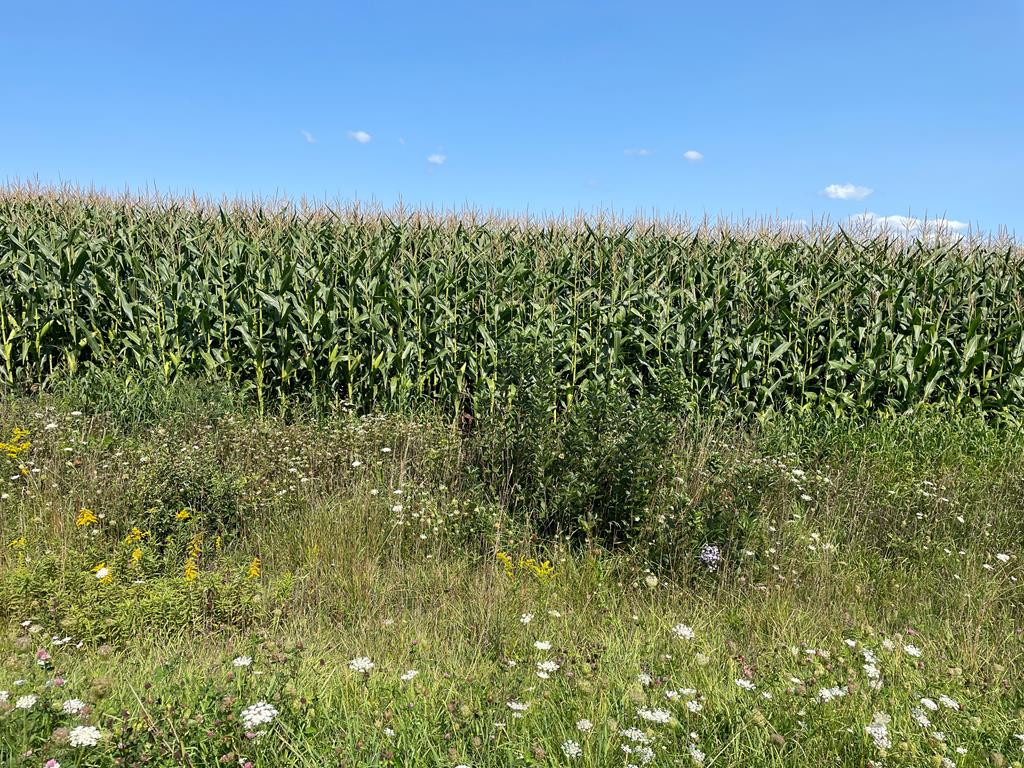 41.30-ac Sunnyslope Road Sturgeon Bay, WI 54209 - Photo 10 of 11