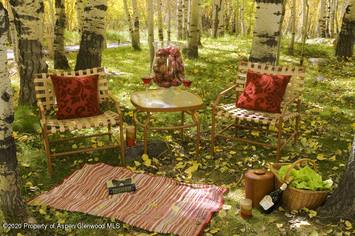 1441 Crystal Lake Road, Unit 2 Aspen, CO 81611 - Photo 18 of 20 a picture of a bathroom with a sink and garden