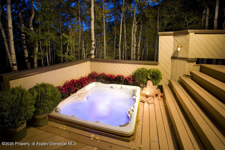 1441 Crystal Lake Road, Unit 2 Aspen, CO 81611 - Photo 19 of 20