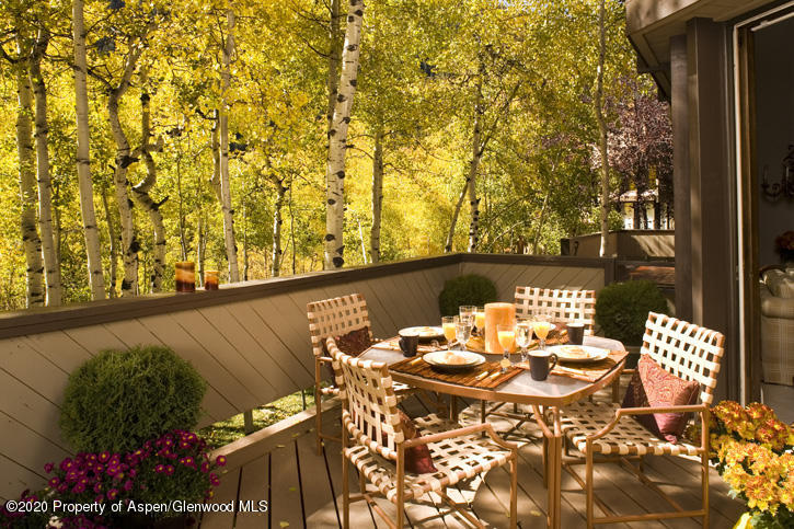 1441 Crystal Lake Road, Unit 2 Aspen, CO 81611 - Photo 20 of 20 a view of balcony and patio