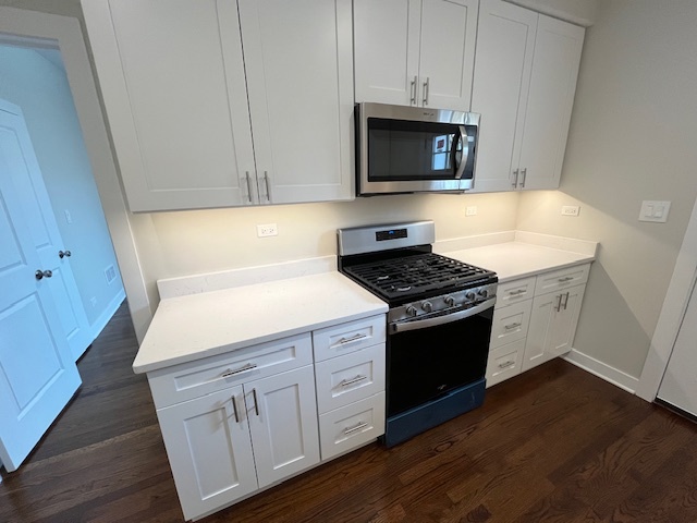 3726 North Racine Avenue, Unit CH Chicago, IL 60613 - Photo 4 of 29