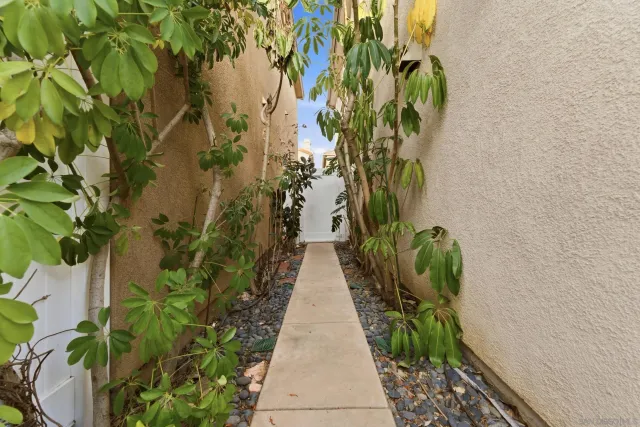 a view of a patio with couches chairs and a potted plant