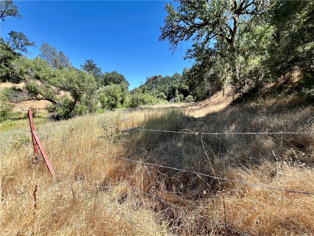 0 Near Fort Bradley, CA 93426 - Photo 12 of 35