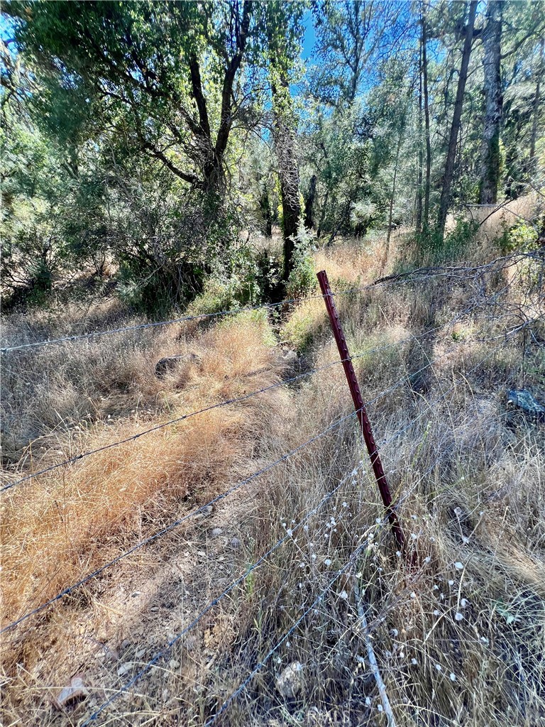 0 Near Fort Bradley, CA 93426 - Photo 13 of 35