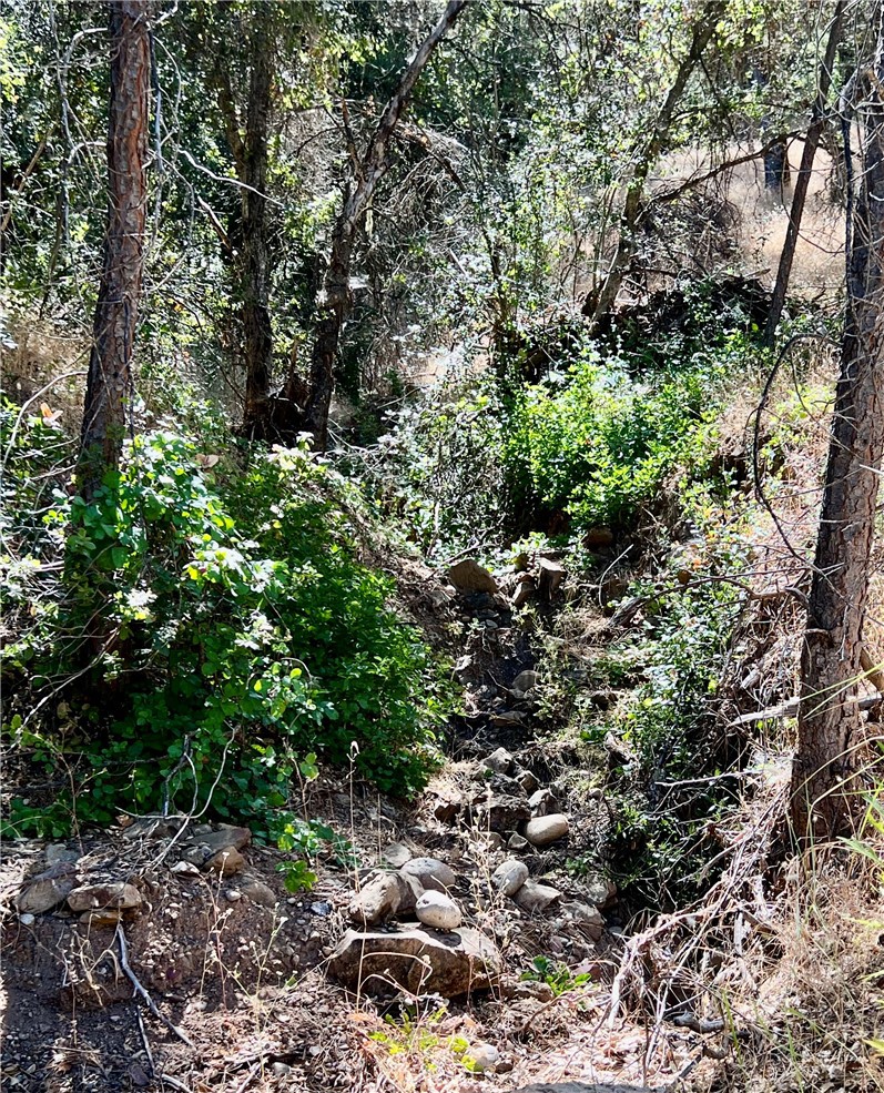 0 Near Fort Bradley, CA 93426 - Photo 15 of 35