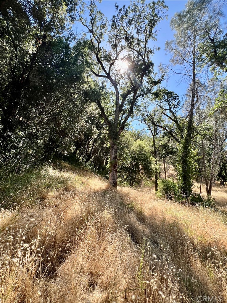 0 Near Fort Bradley, CA 93426 - Photo 20 of 35