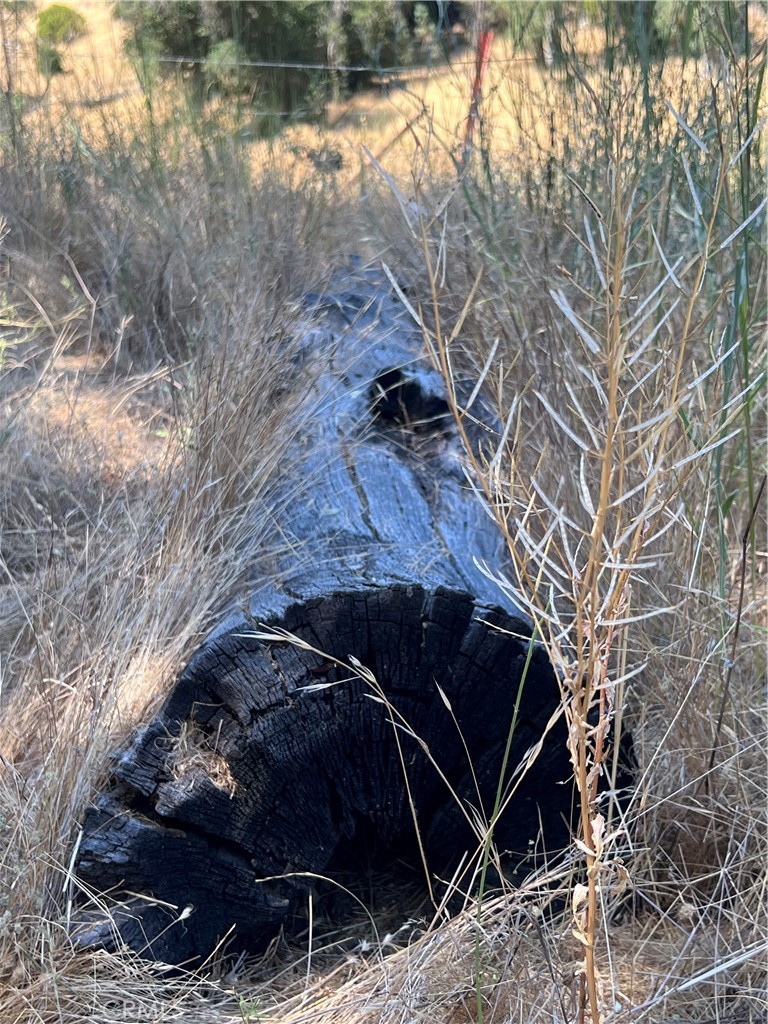 0 Near Fort Bradley, CA 93426 - Photo 22 of 35