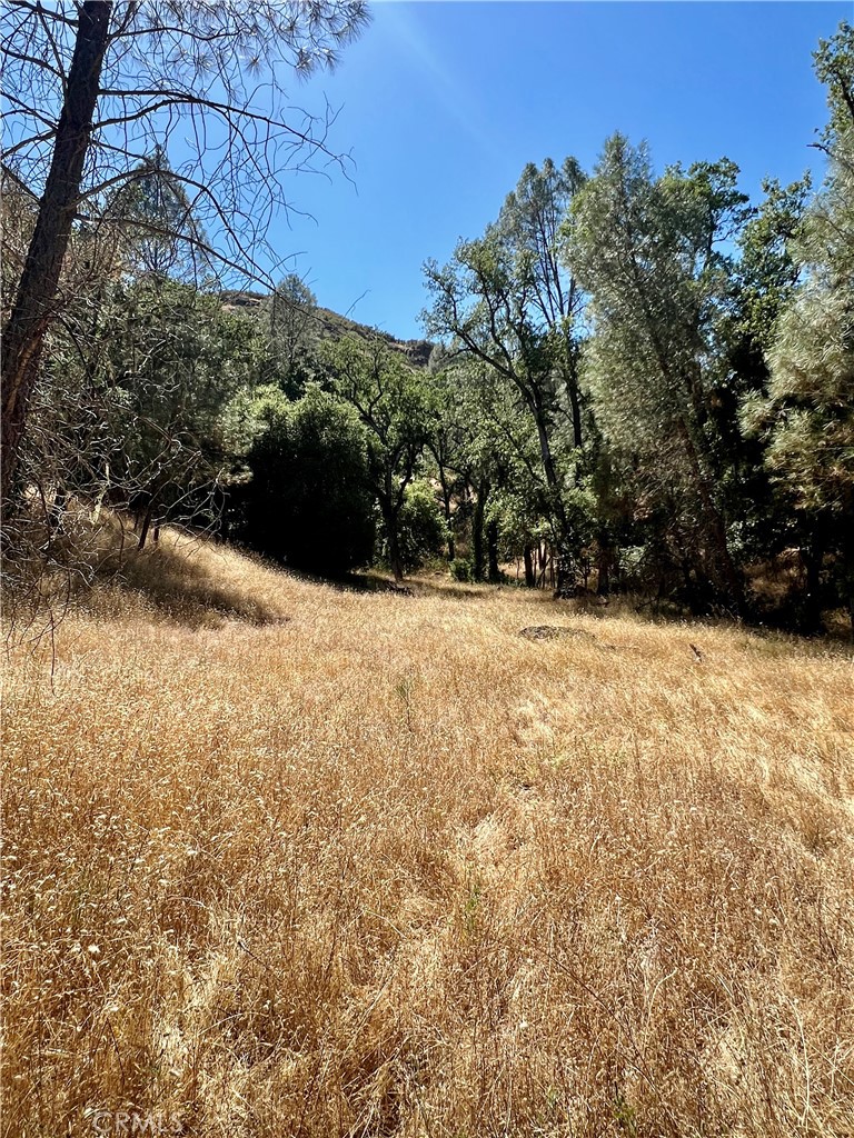 0 Near Fort Bradley, CA 93426 - Photo 25 of 35