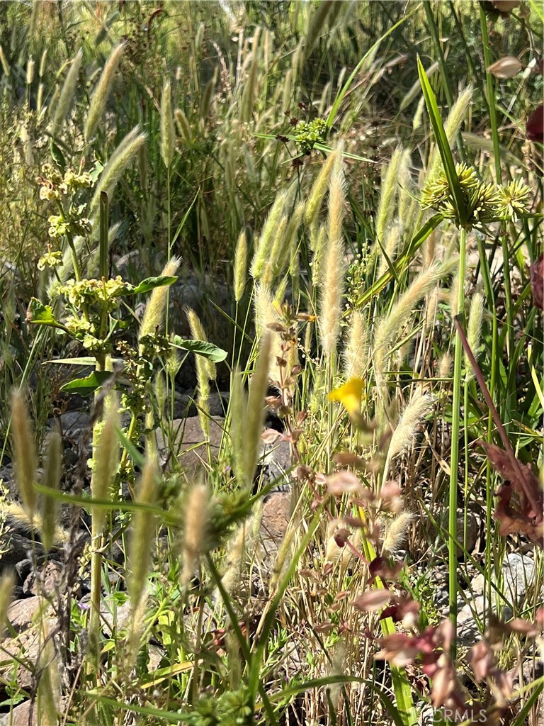 0 Near Fort Bradley, CA 93426 - Photo 27 of 35