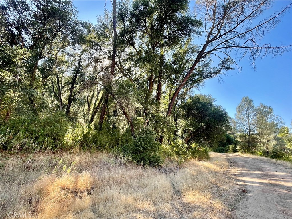 0 Near Fort Bradley, CA 93426 - Photo 29 of 35