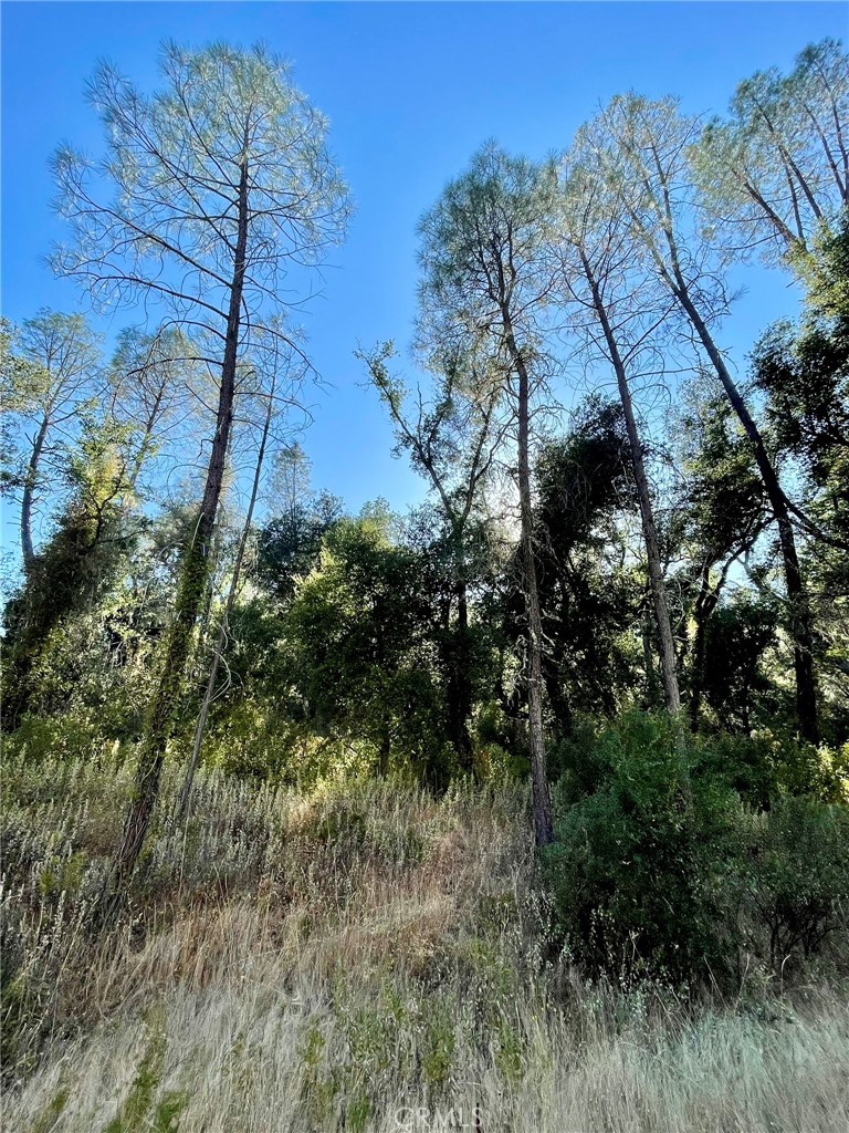 0 Near Fort Bradley, CA 93426 - Photo 30 of 35