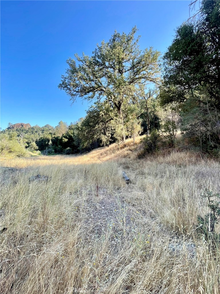 0 Near Fort Bradley, CA 93426 - Photo 31 of 35