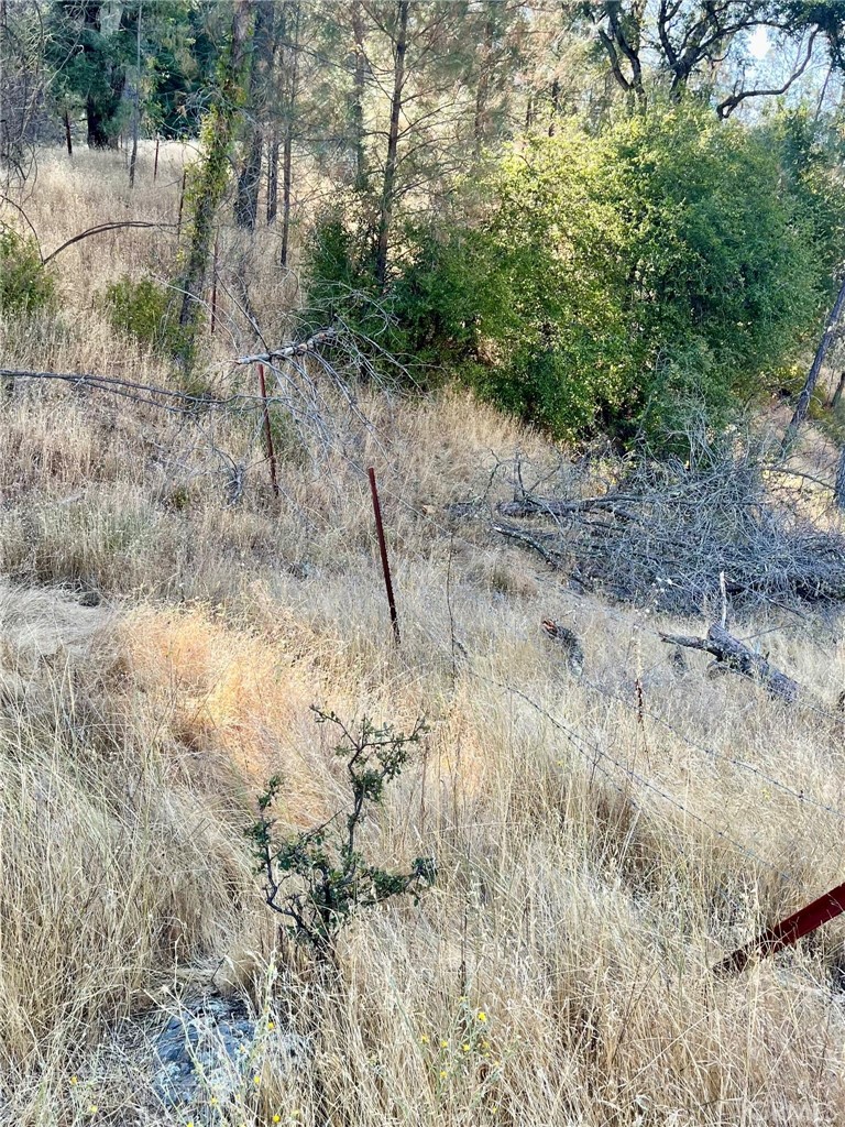 0 Near Fort Bradley, CA 93426 - Photo 34 of 35