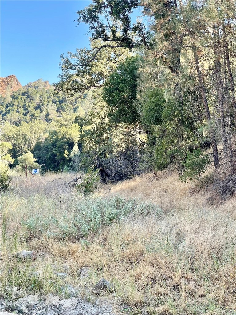 0 Near Fort Bradley, CA 93426 - Photo 35 of 35