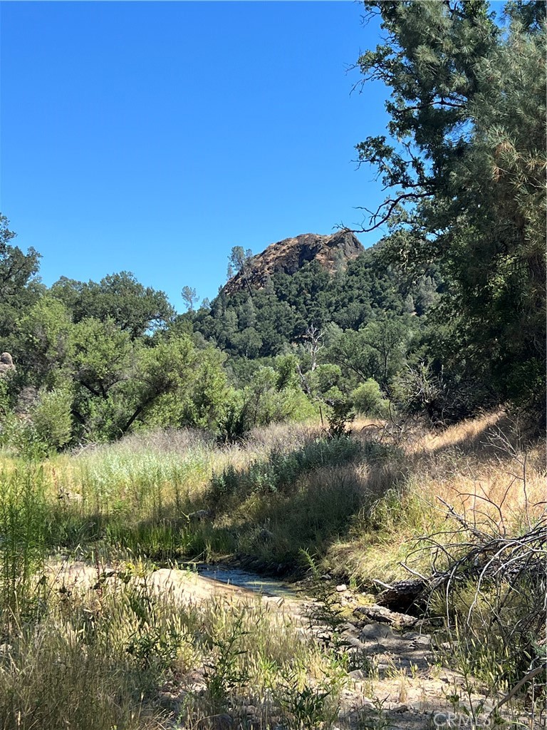 0 Near Fort Bradley, CA 93426 - Photo 5 of 35
